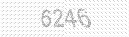 Visual security code — type the characters shown in the image